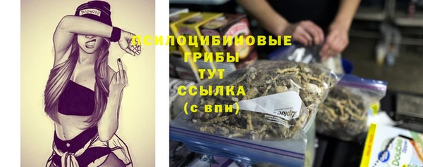 прущие грибы Каменка