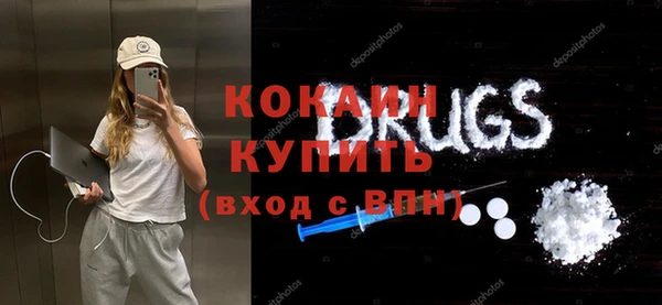 прущие грибы Каменка