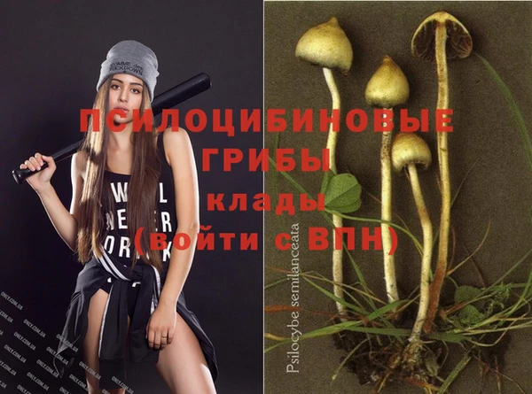 кокаин премиум Каменногорск
