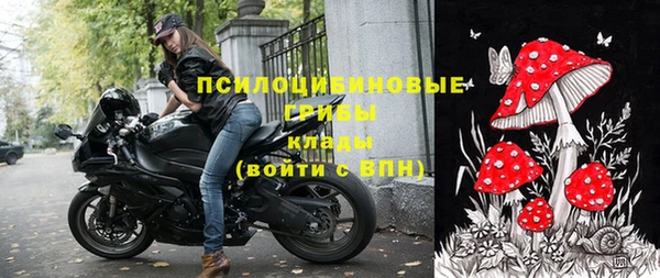 прущие крисы Инта
