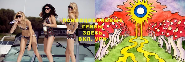 прущие грибы Каменка