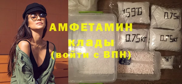 прущие грибы Каменка