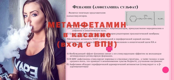 прущие грибы Каменка