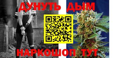 Альфа ПВП Кингисепп