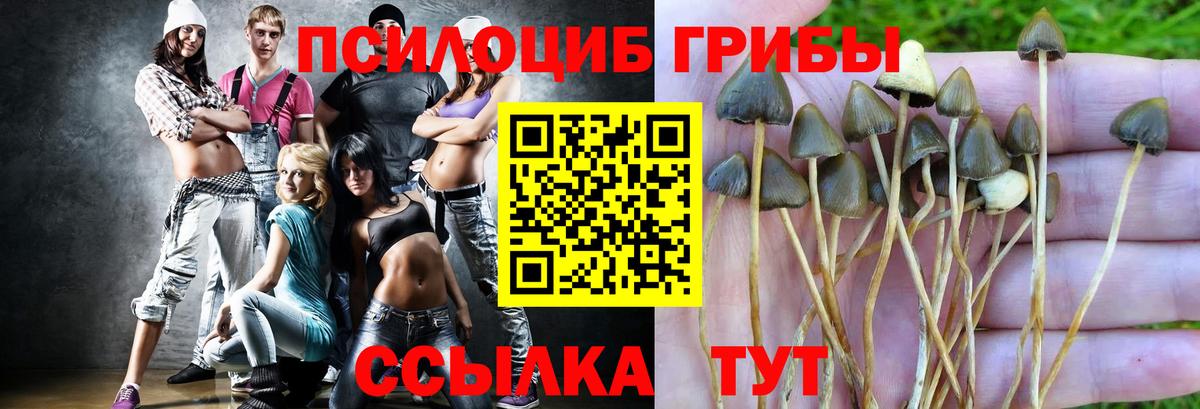 Псилоцибиновые грибы MAGIC MUSHROOMS  Галлюциногенные грибы мицелий  Коркино  Вход с VPN 