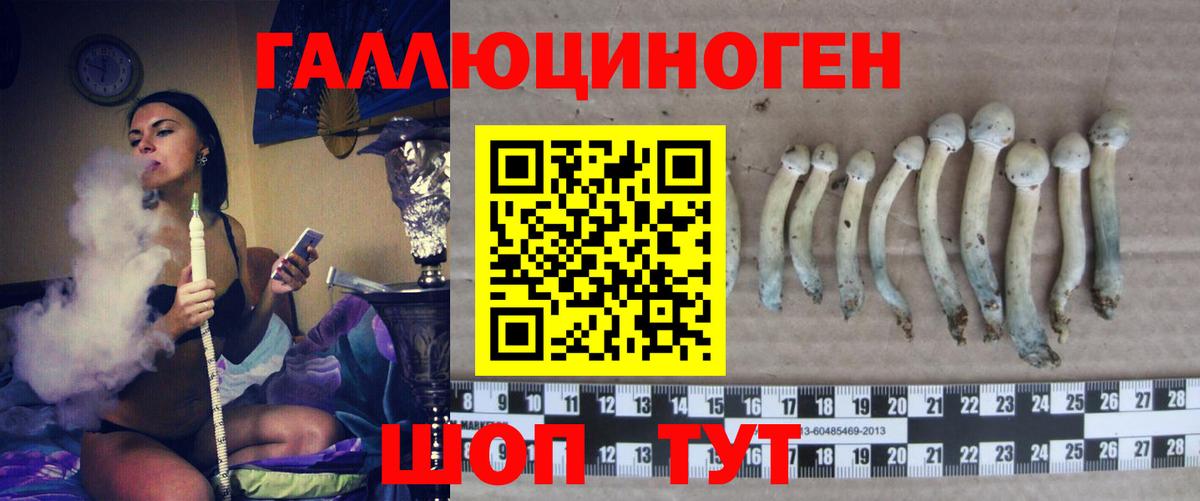 Галлюциногенные грибы мицелий Коркино